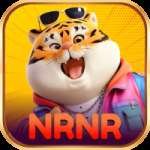 nrnr Live Elite